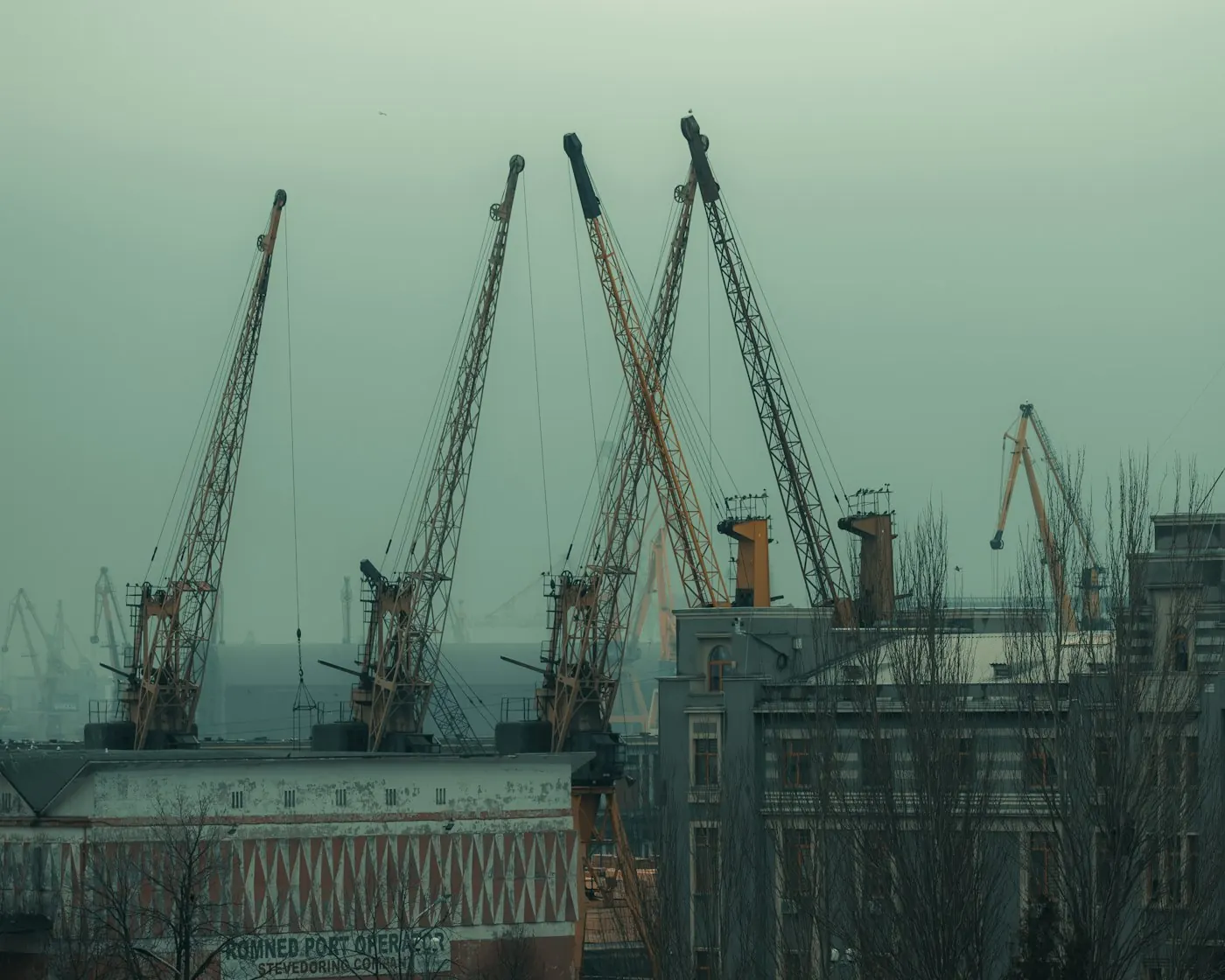 Industrial port cranes